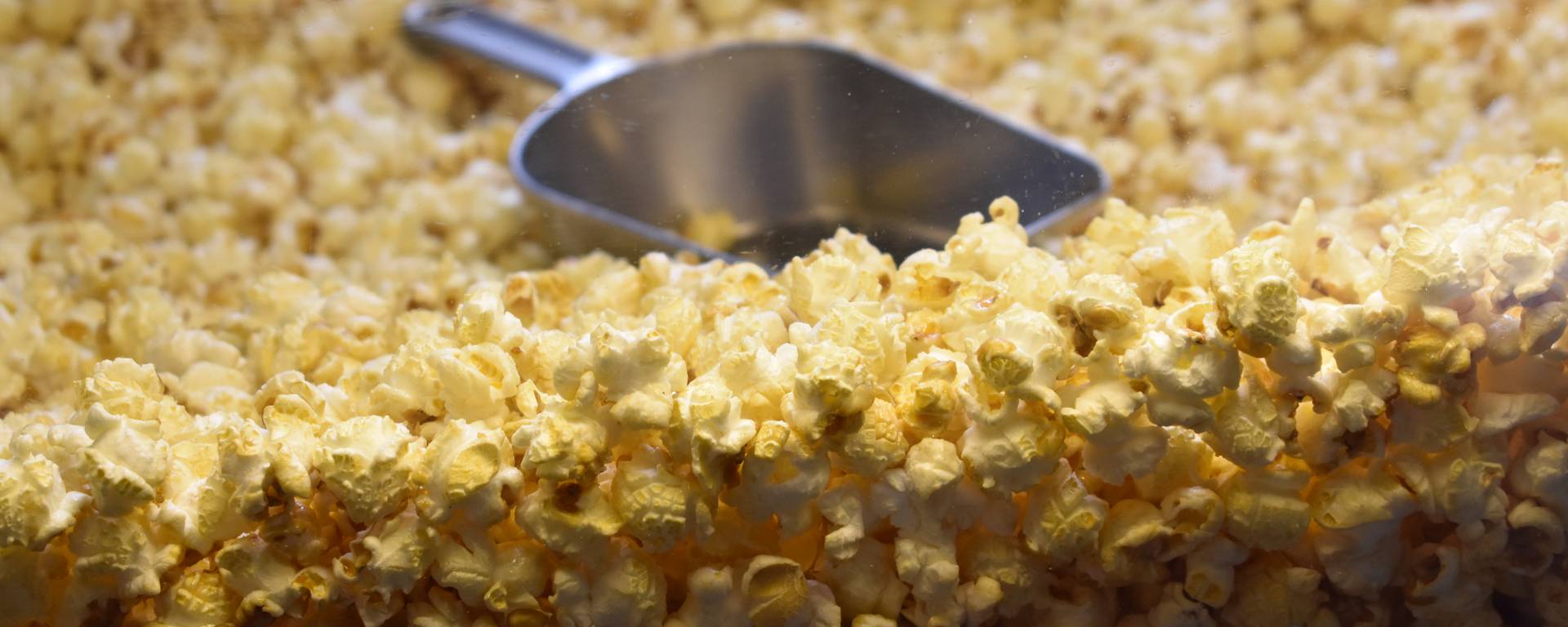 Cinéma Epinal - Grand cinéma - Cinéma Vosges - Activité Epinal - Cinés Palace