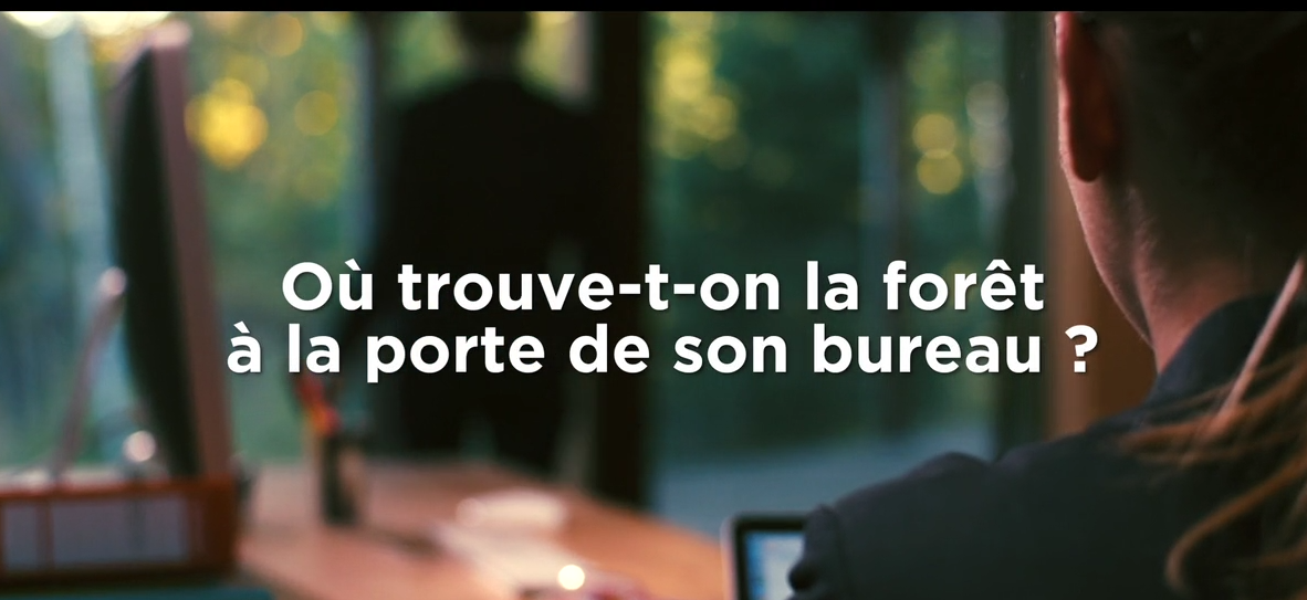 La forêt à la porte de son bureau