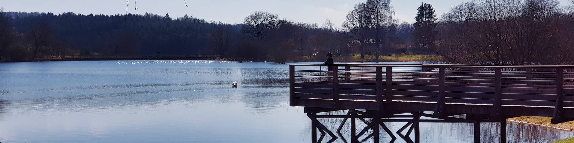 distance tour du lac de bouzey