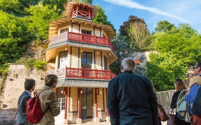 Des Images plein la tête