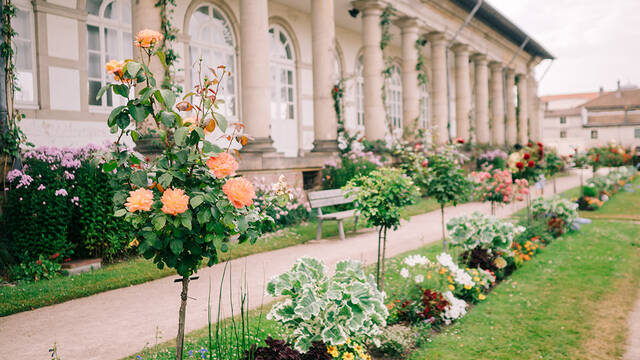 Histoire de jardins