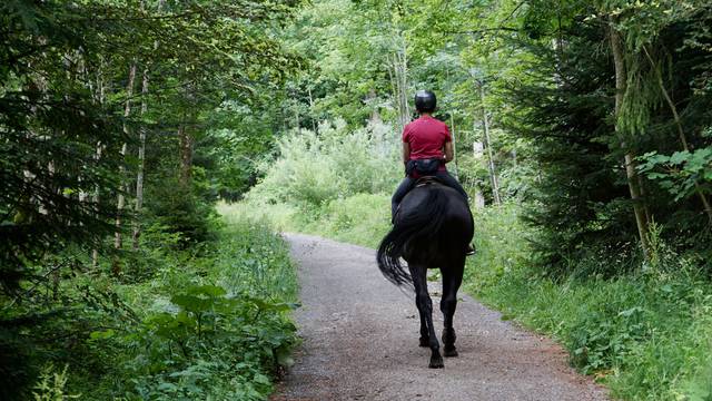 Randonnée à cheval - Balade à cheval Vosges - Itinérance à cheval