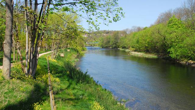 Voie bleue - Canal des Vosges 