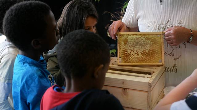 Planétarium Epinal - étoiles - histoire du système solaire - Activités famille Epinal