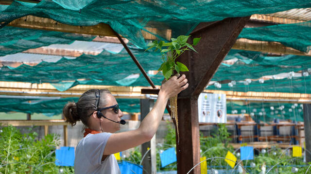 Visites & savoir-faire