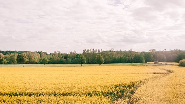Vélo - Tourisme à Vélo - Vosges en vélo - Haute Saone en vélo 