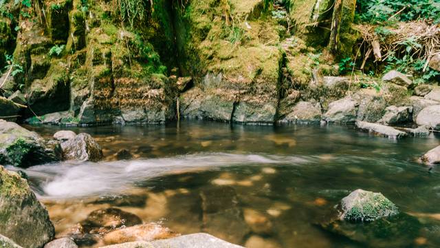 Randonnée Vosges - Cours d'eau Epinal - Point d'eau en forêt Epinal