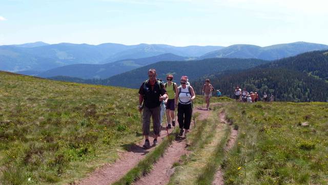 Randonnée sur les Crêtes - Randonnée Hautes Vosges - Sommet des Vosges 