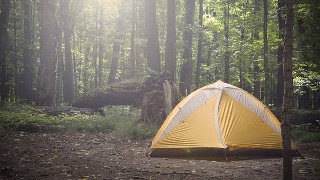 Campings