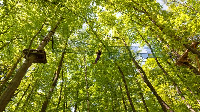 Der Klettergarten Spinaparc von Épinal