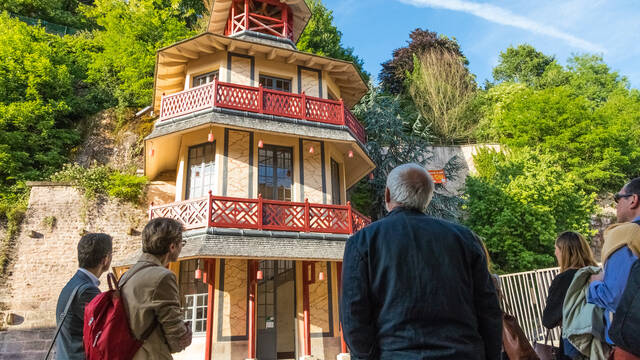 Des Images plein la tête