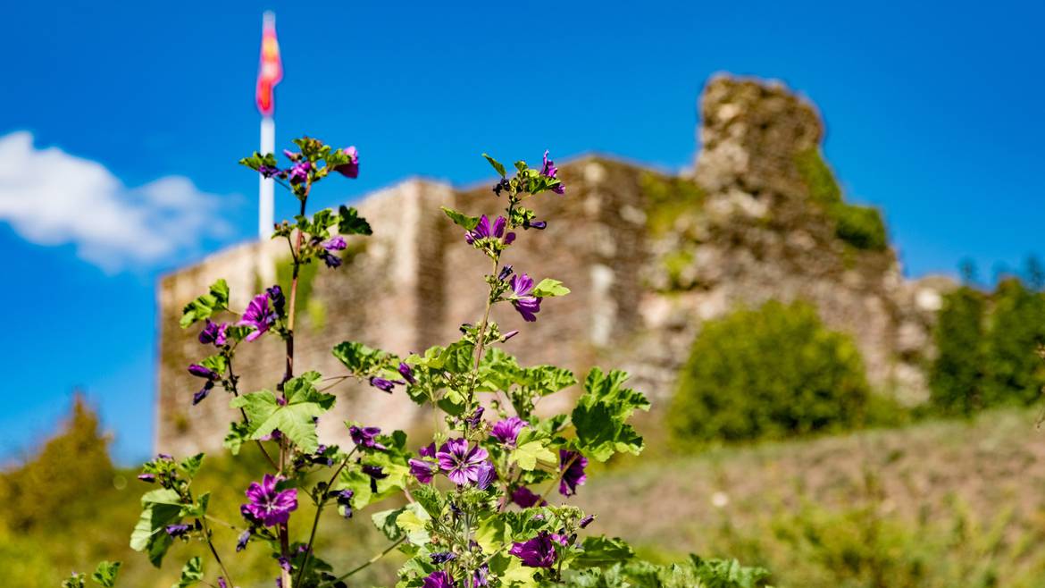 Step 3 : 2.30 p.m. – Guided tour of the castle of Épinal and its medieval garden