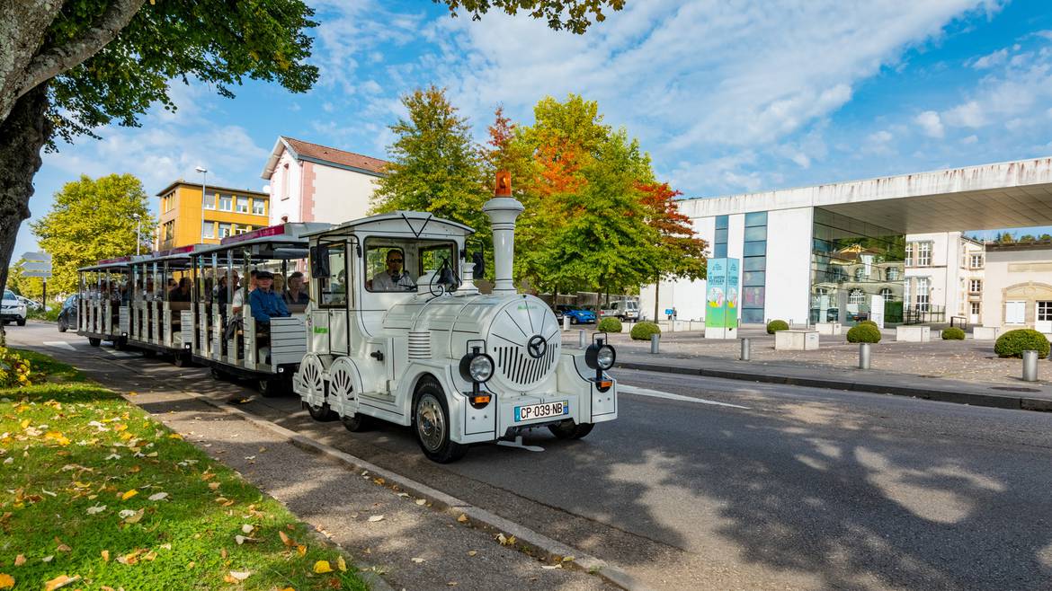 Tour en Petit Train Touristique (1h)