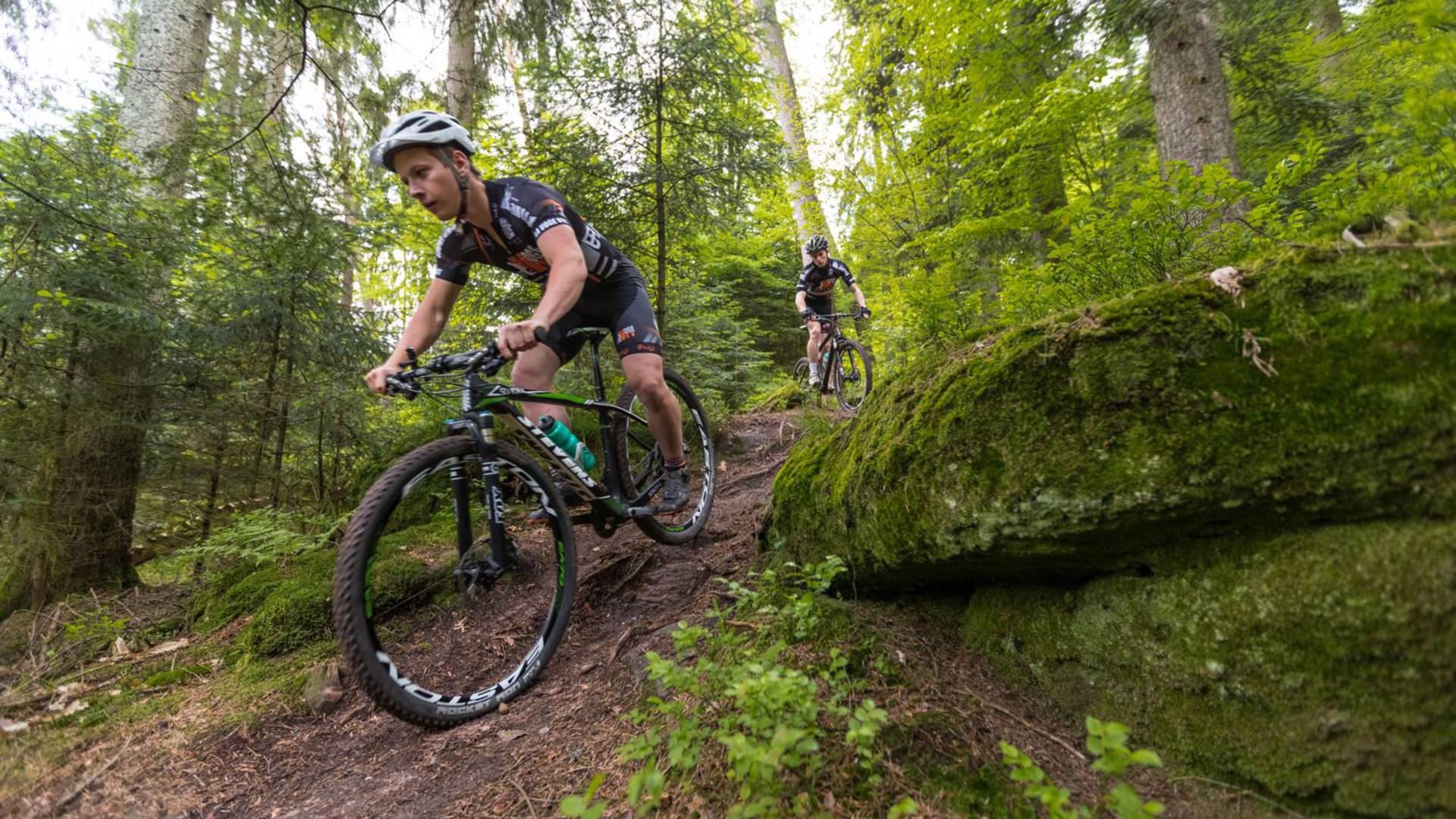 Descente de VTT - VTT Epinal - Vélo en forêt 