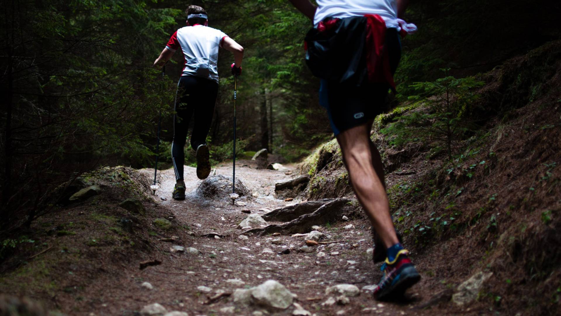 Trail Vosges - Sortie sportive Vosges 