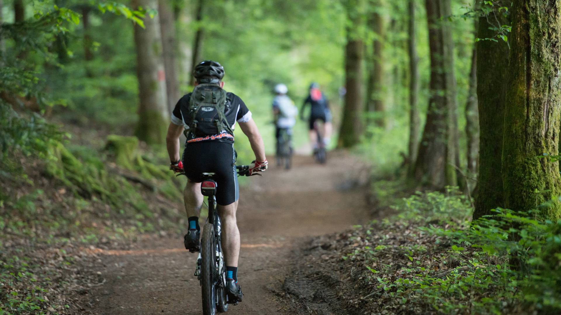 La Téméraire des Vosges - Randonnée VTT Vosges - VTT Vosges
