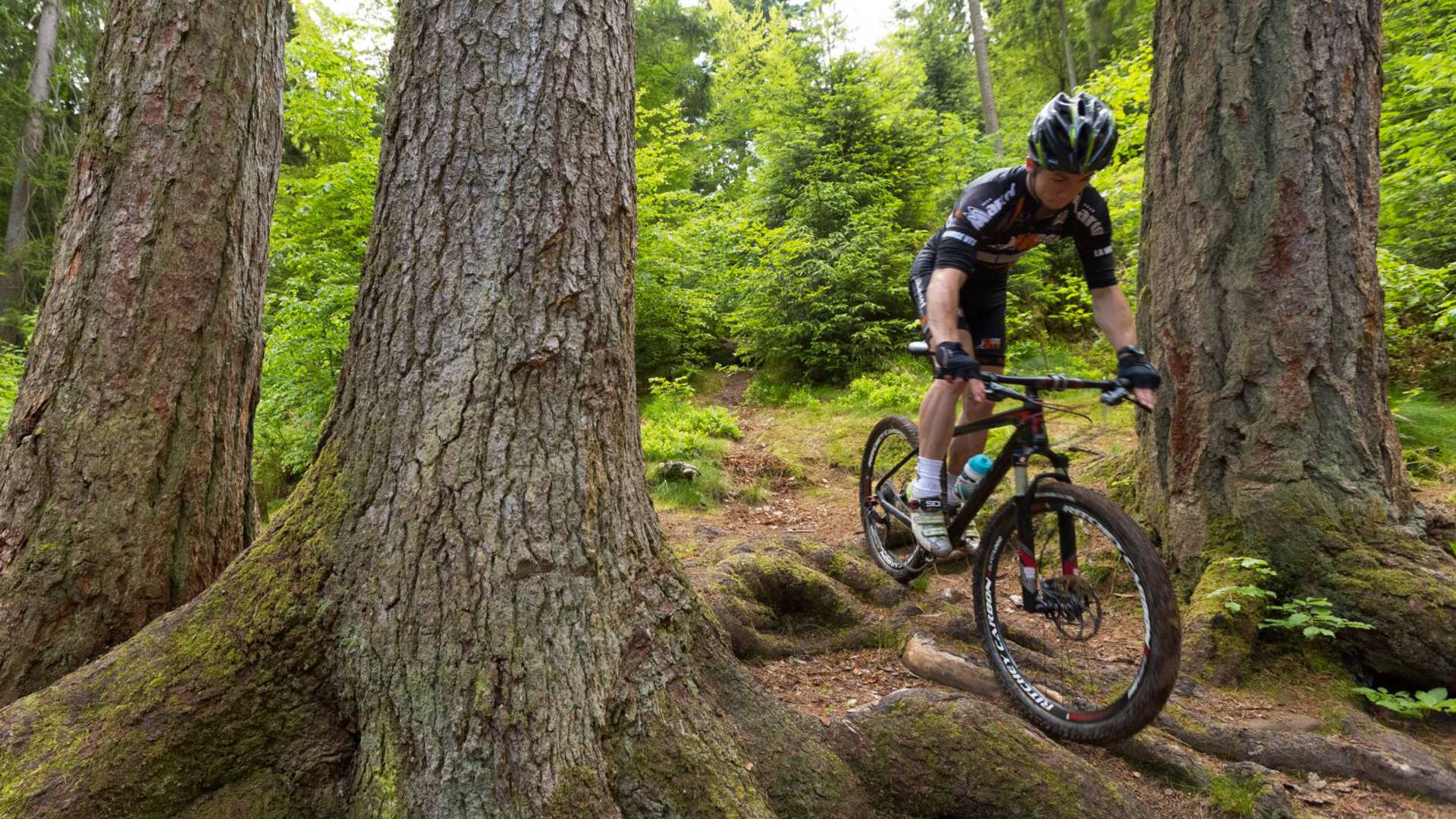 VTT Epinal -Vélo de descente - Circuits VTT Vosges - Clubs VTT Epinal 