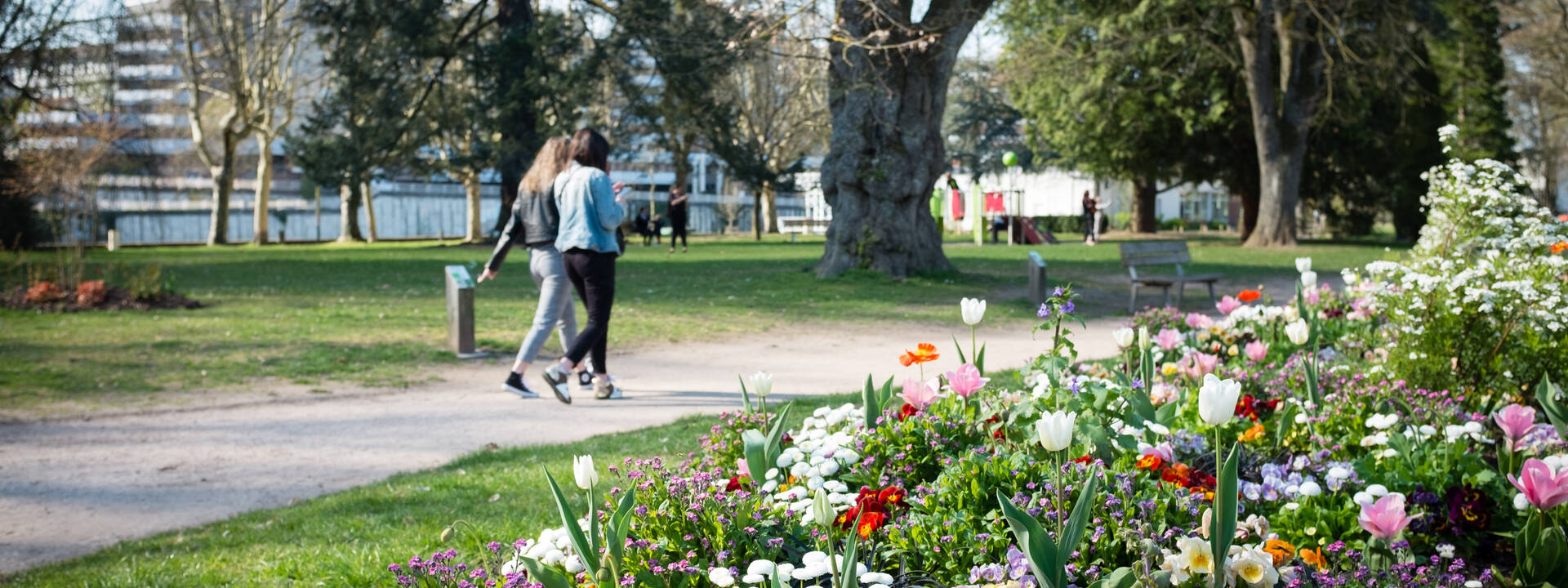 À voir, à faire au printemps à Epinal et autour
