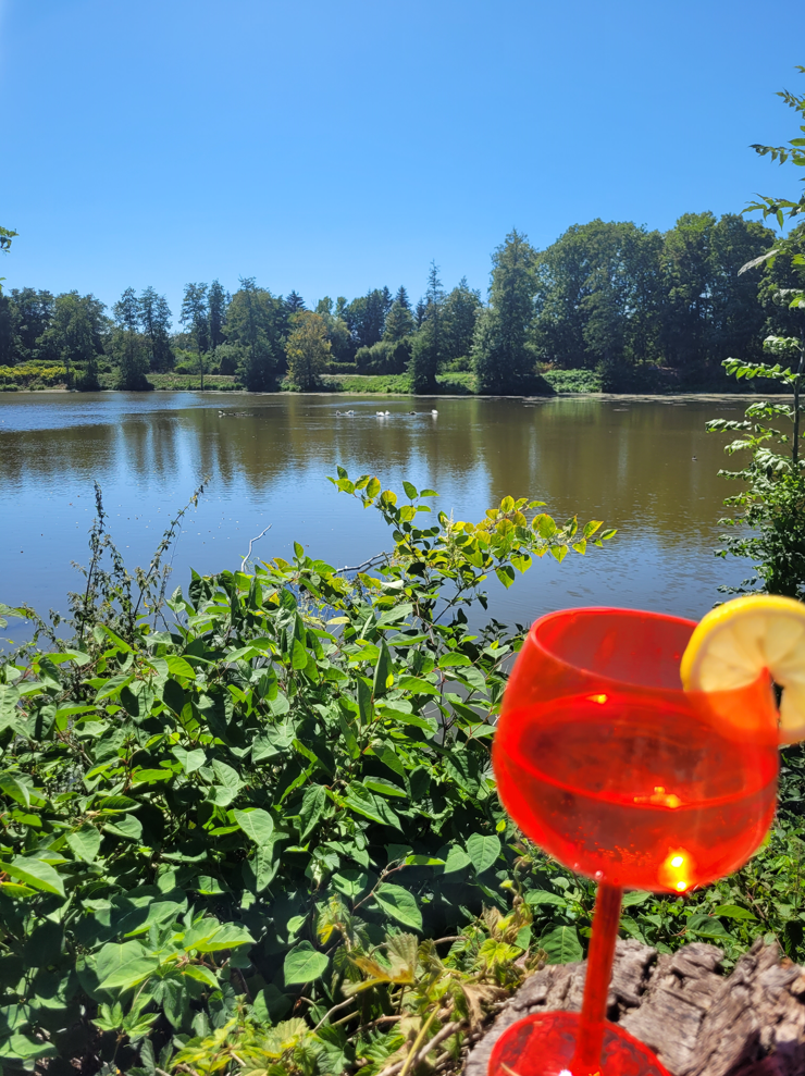 Etangs Portieux - Été Charmes - Concours photo Charmes
