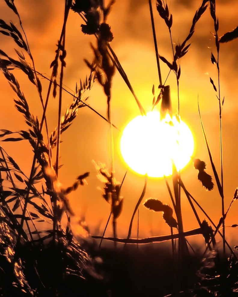Coucher de soleil Ubexy - Été Charmes - Concours photo Charmes
