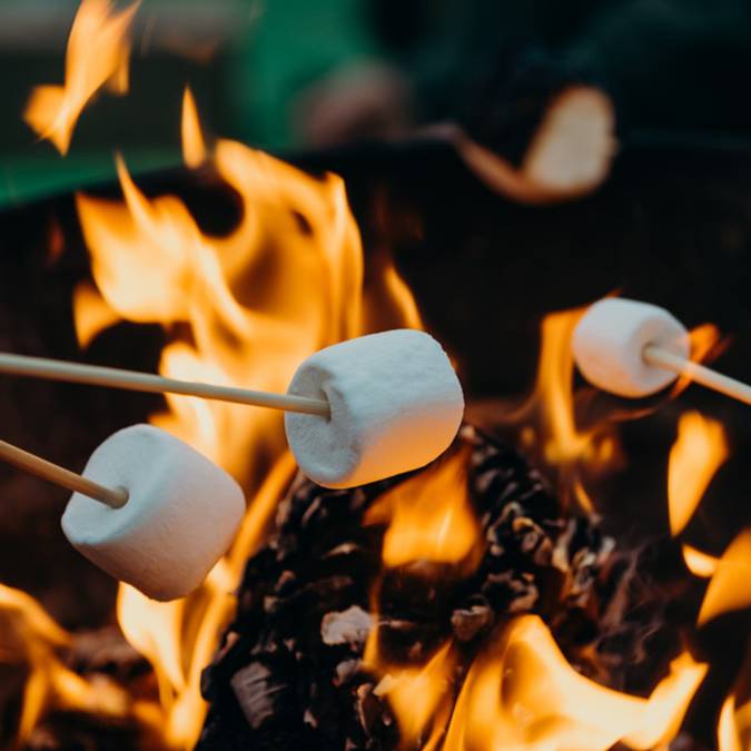 Camping en forêt Vosges - Bivouac - Feu de camp - Dormir en forêt Vosges 