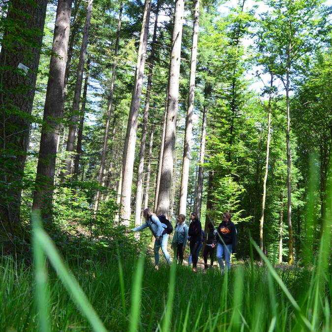 Sylvothérapie © Epinal Tourisme