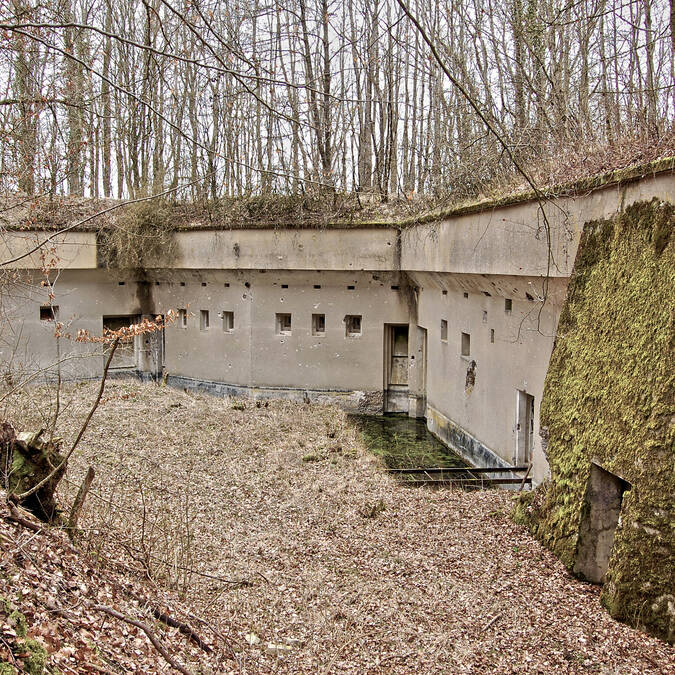 Fort de Dogneville