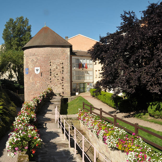 Musée du Chapitre Epinal - Visite guidée