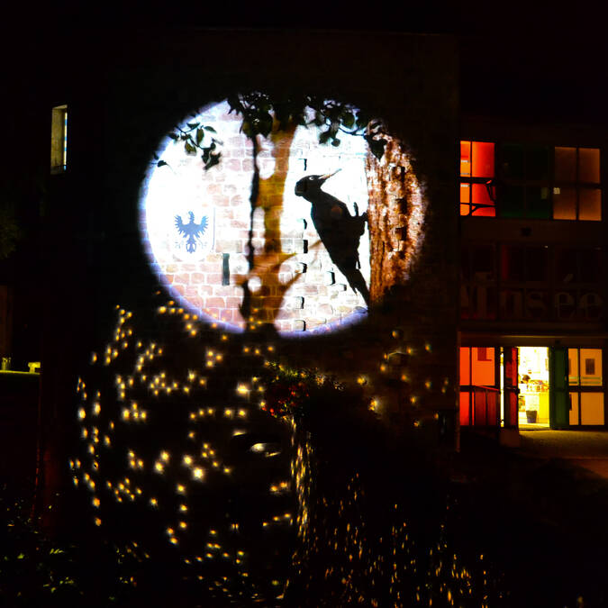 Fête des Images Epinal © Epinal Tourisme