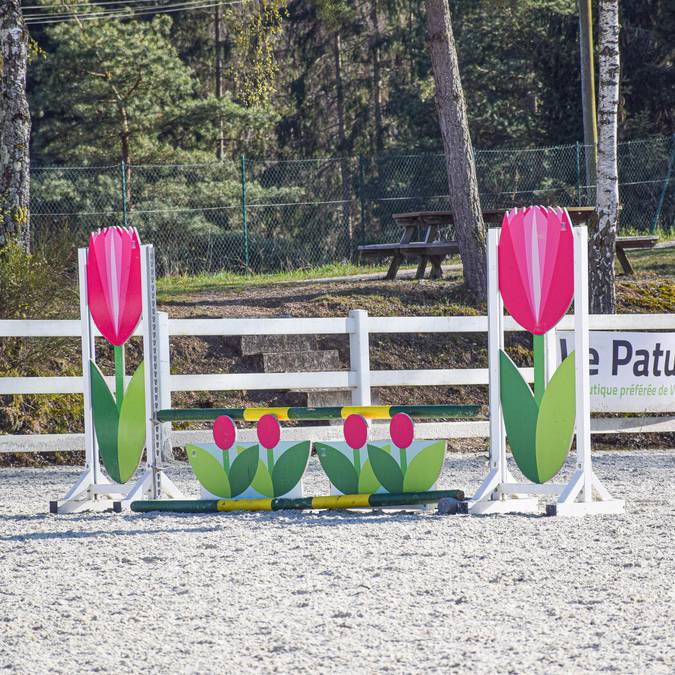Centre équestre Epinal - Cours d'équitation Epinal - Balade à cheval - Randonnée à cheval - Faire du cheval - Saut d'obstacles