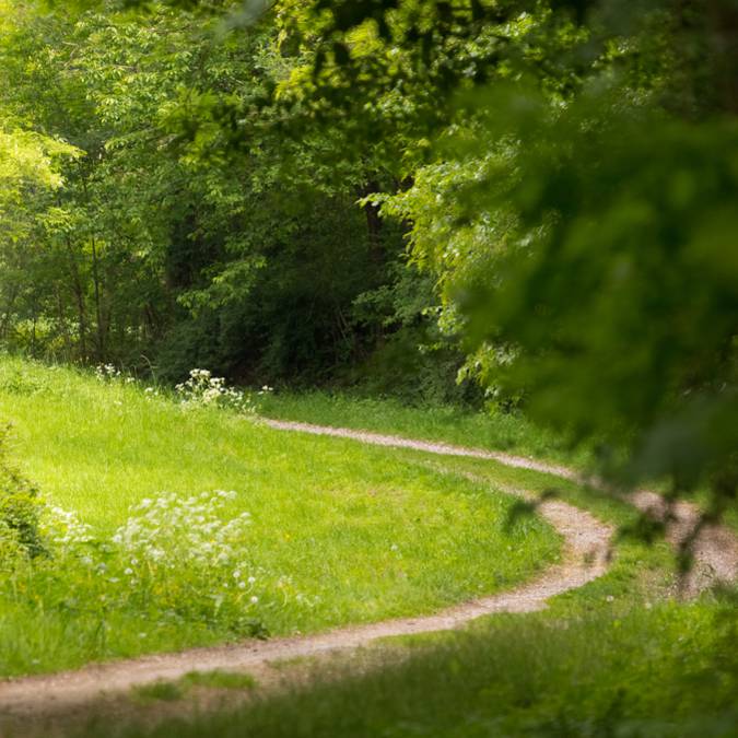 Randonnée à cheval - Balade à cheval Vosges - Itinérance à cheval - Paysage